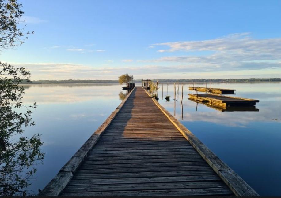 GreenGo location vacances écoresponsables