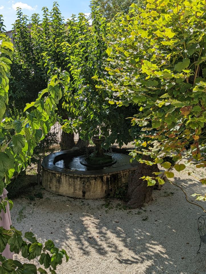 Hôte GreenGo: La Fontaine aux Poissons Rouges - Image 3
