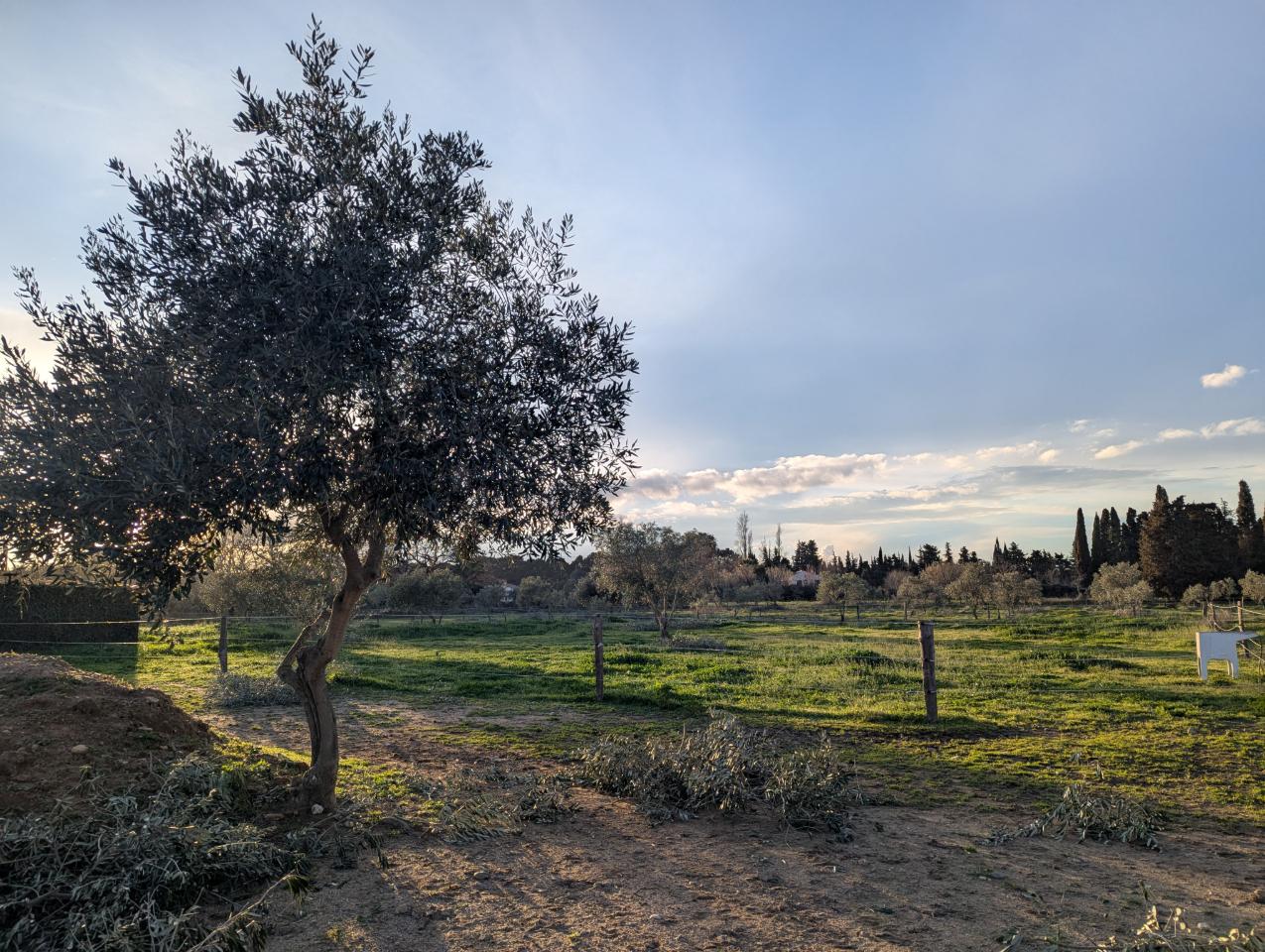 GreenGo location vacances écoresponsables