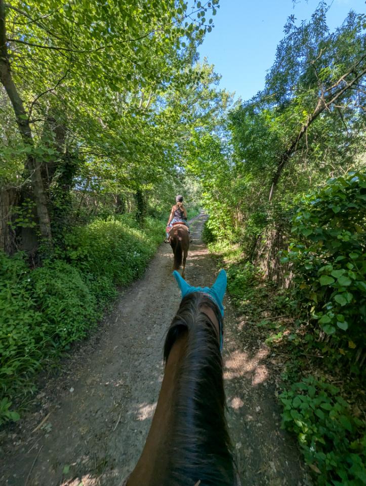 GreenGo Gîte Occitanie Évasion