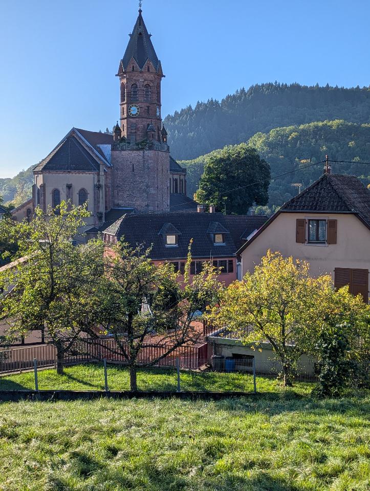 GreenGo Maison Mycélia