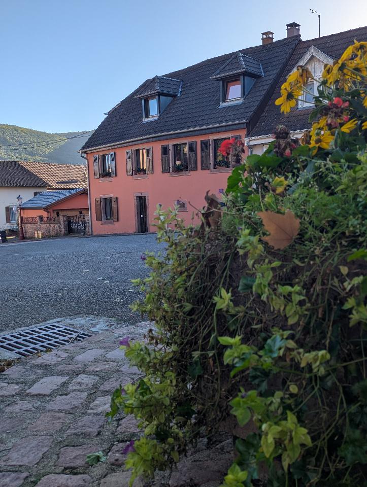 GreenGo Location Grand Est Haut-de-gamme