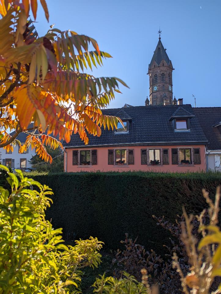 Carte cadeau GreenGo