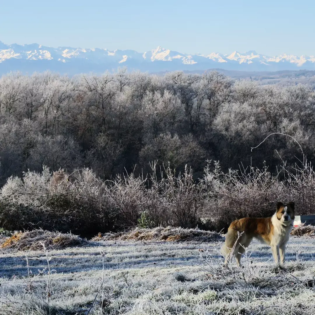 Logement insolite Haute-Garonne Bien-être