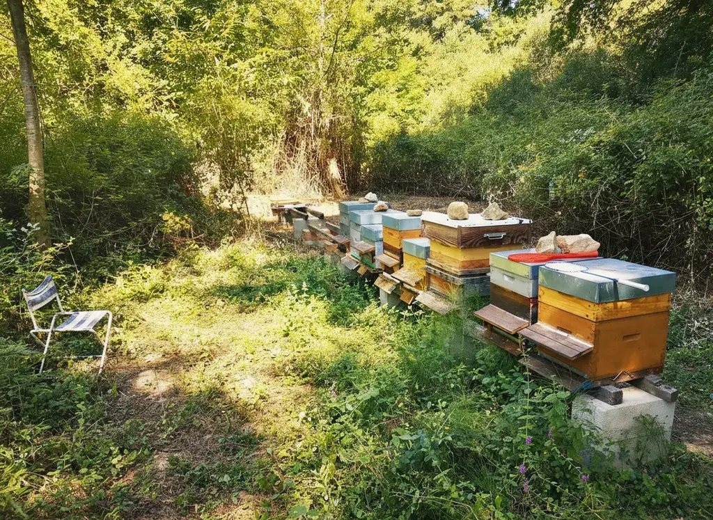 GreenGo location vacances écoresponsables