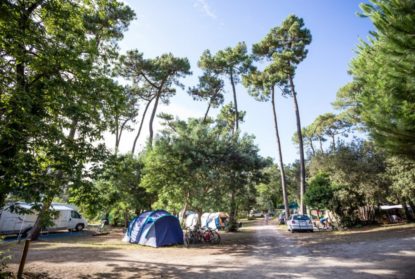 Hôte GreenGo: Camping Huttopia Oléron Les Chênes Verts - Image 8