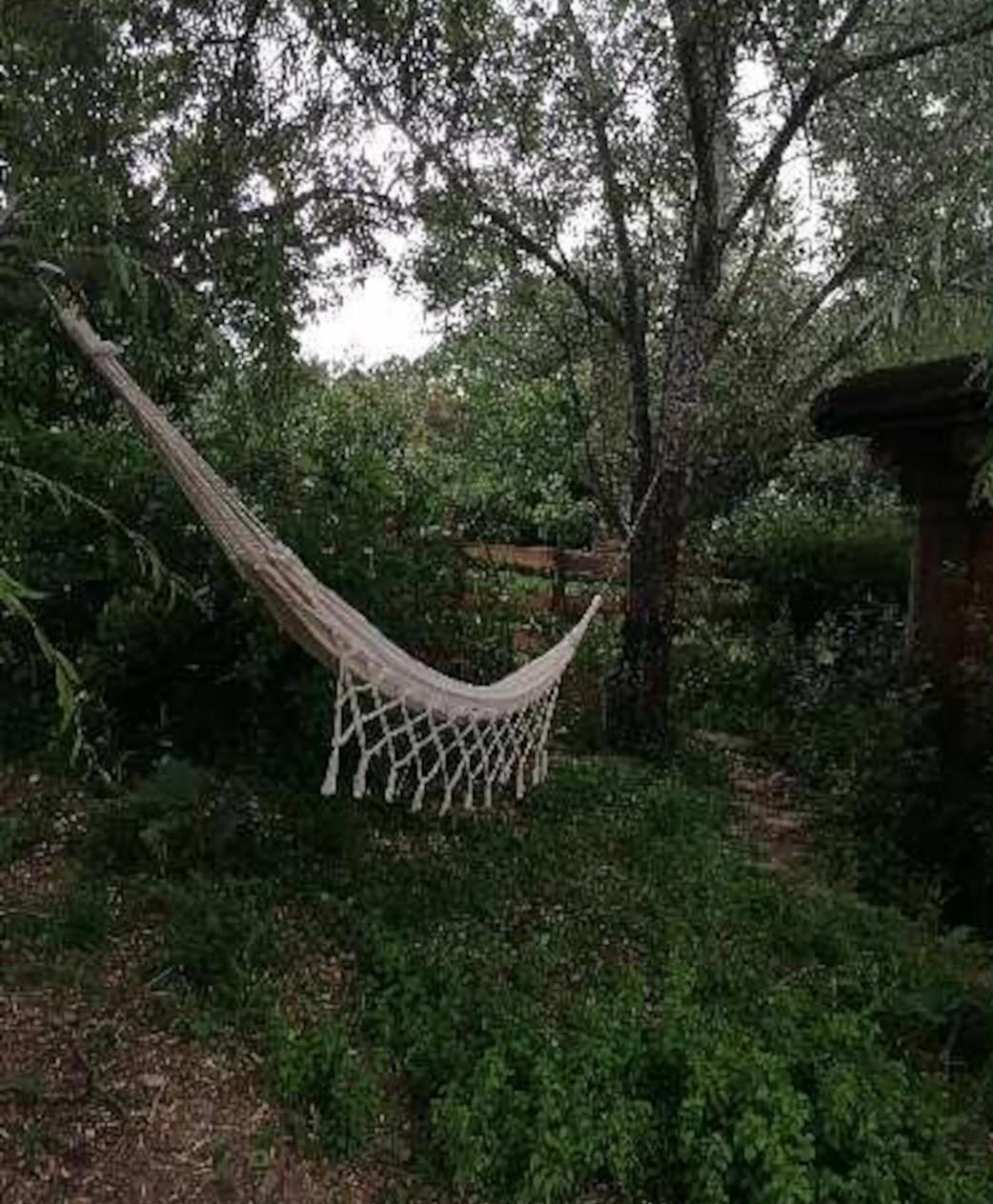 GreenGo Gîte Auvergne-Rhône-Alpes Évasion