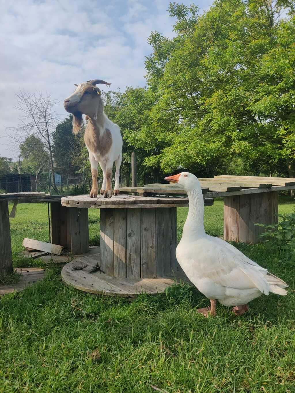 La Ferme de Valambray