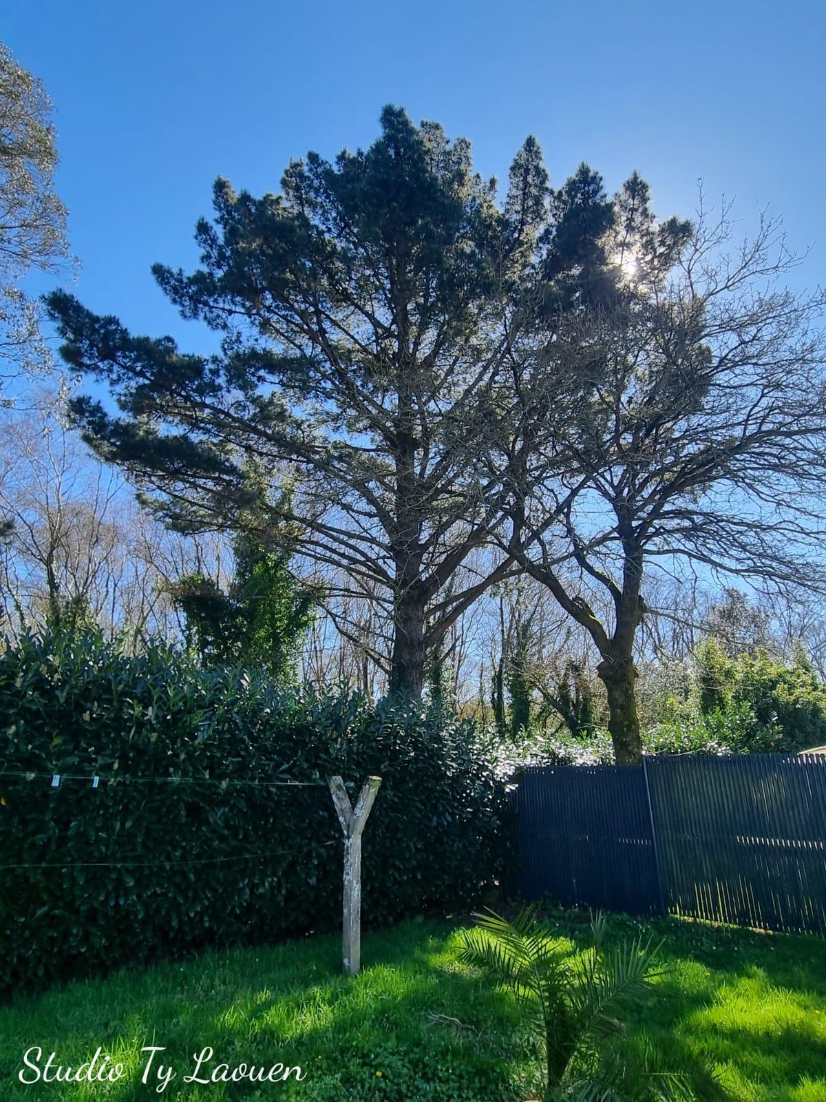 Carte cadeau GreenGo