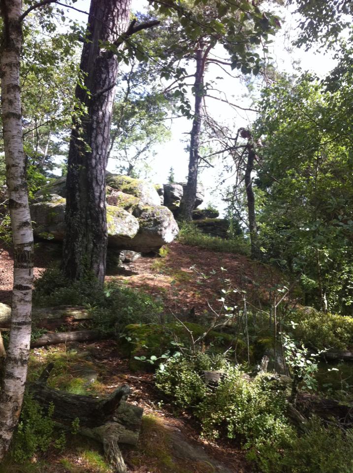 Hôte GreenGo: Les cabanes essentielles ou les cabanes S en Ciel - Image 13