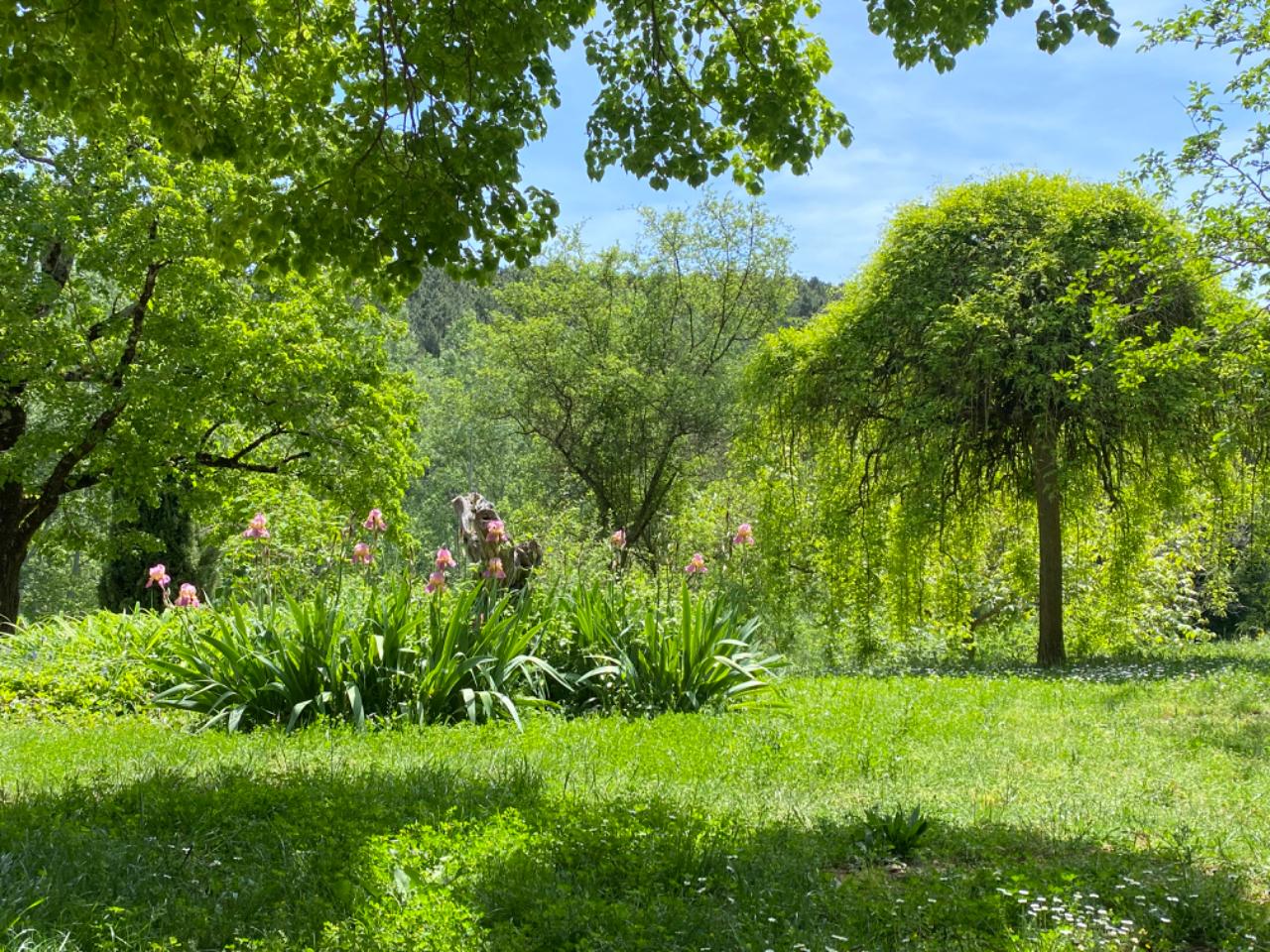 GreenGo location vacances écoresponsables