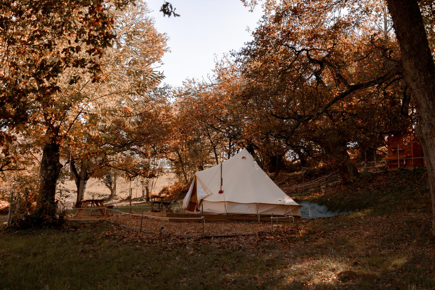 Hôte GreenGo: La tente de Monein - Image 20