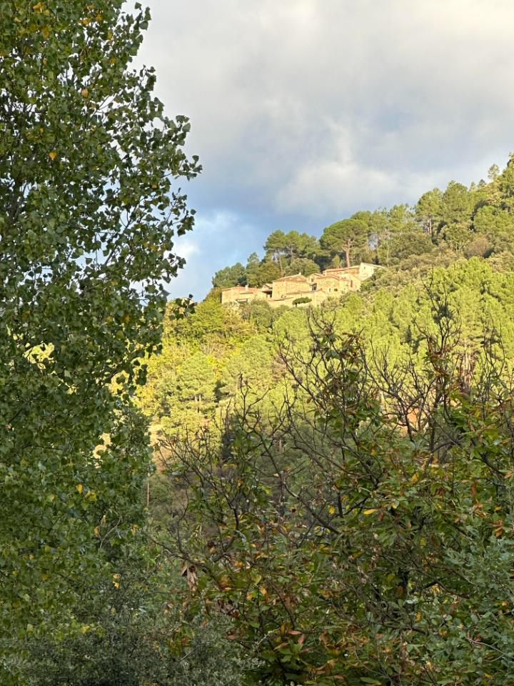 Hôte GreenGo: Mas en Cévennes, La Jaça, bergerie dans parc national des Cévennes - Image 3