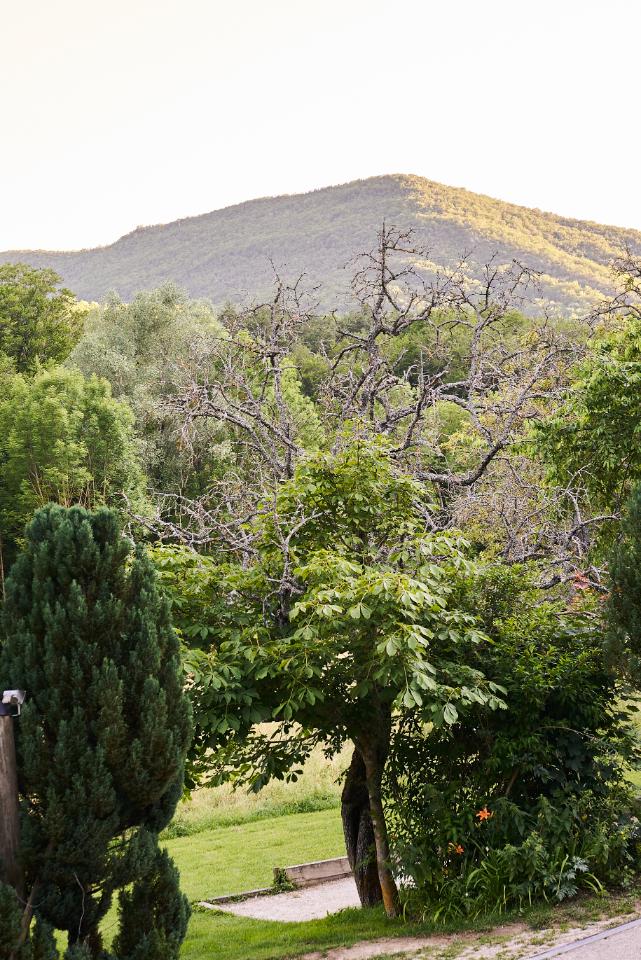 Carte cadeau GreenGo