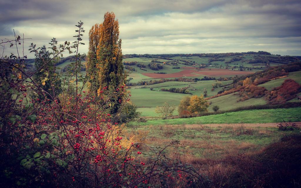 Hôte GreenGo: DOMAINE SAMO - Image 11