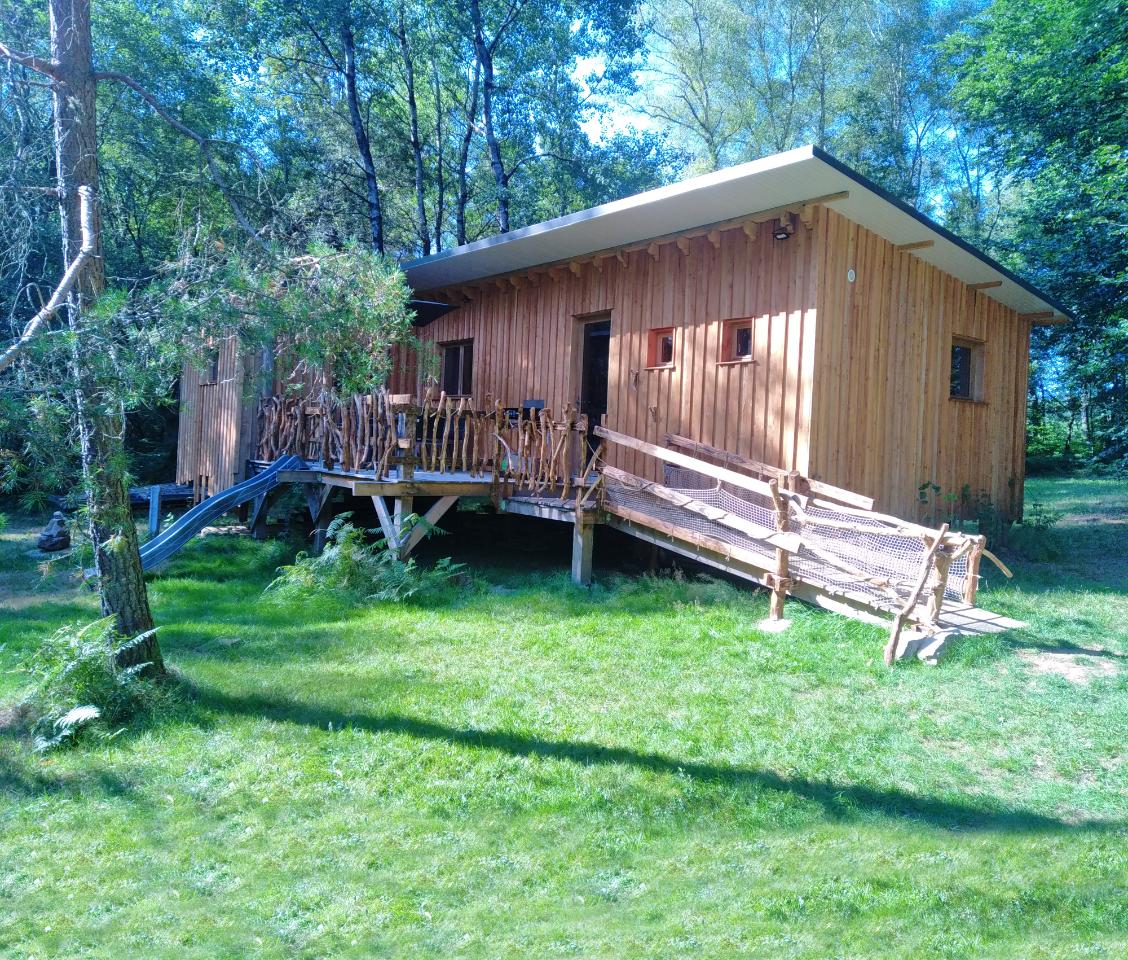 GreenGo L'éveil de la forêt