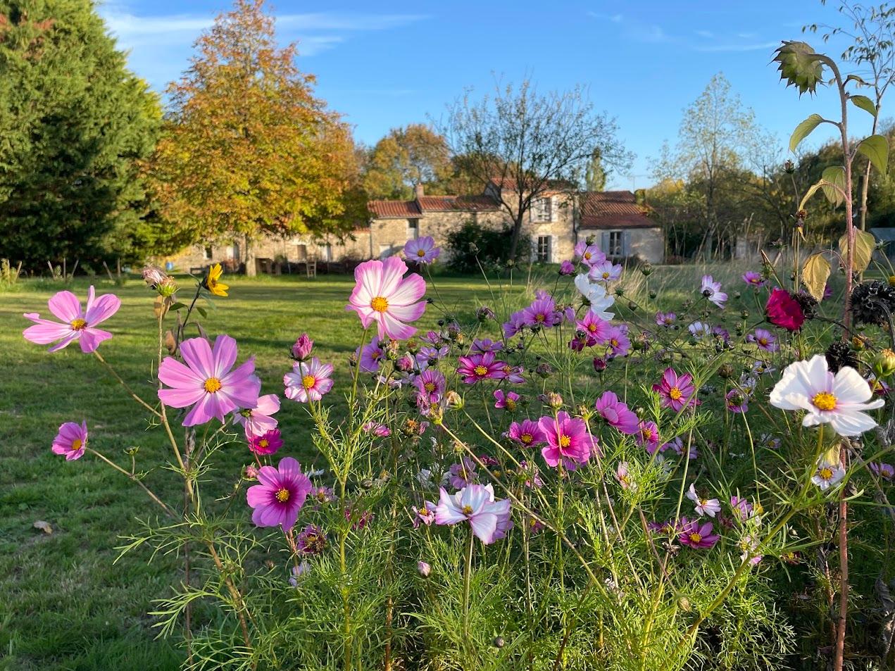 Chambres d'Hôtes un Brin Nature