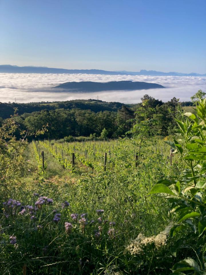 GreenGo Gîte Auvergne-Rhône-Alpes Évasion