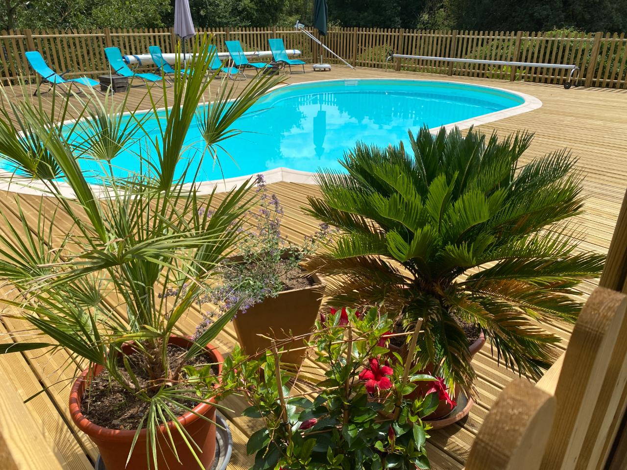 GreenGo Domaine Angelou