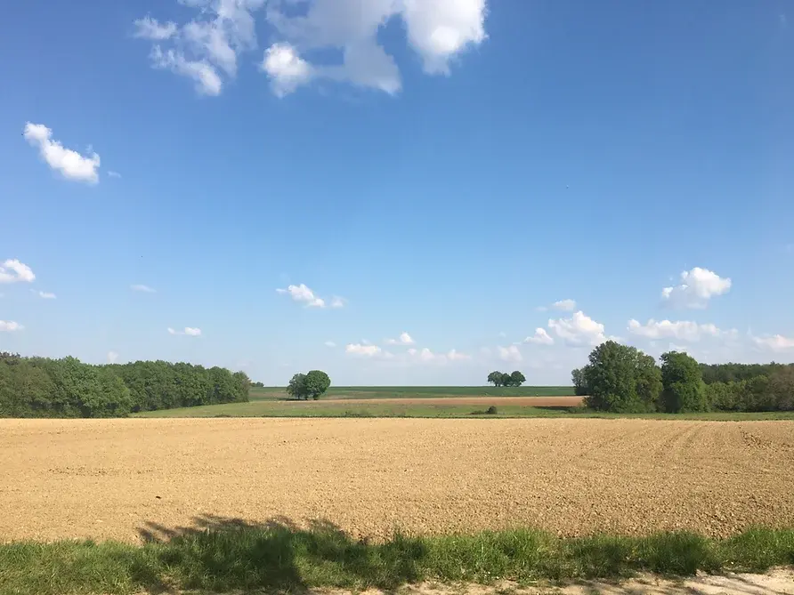 Carte cadeau GreenGo