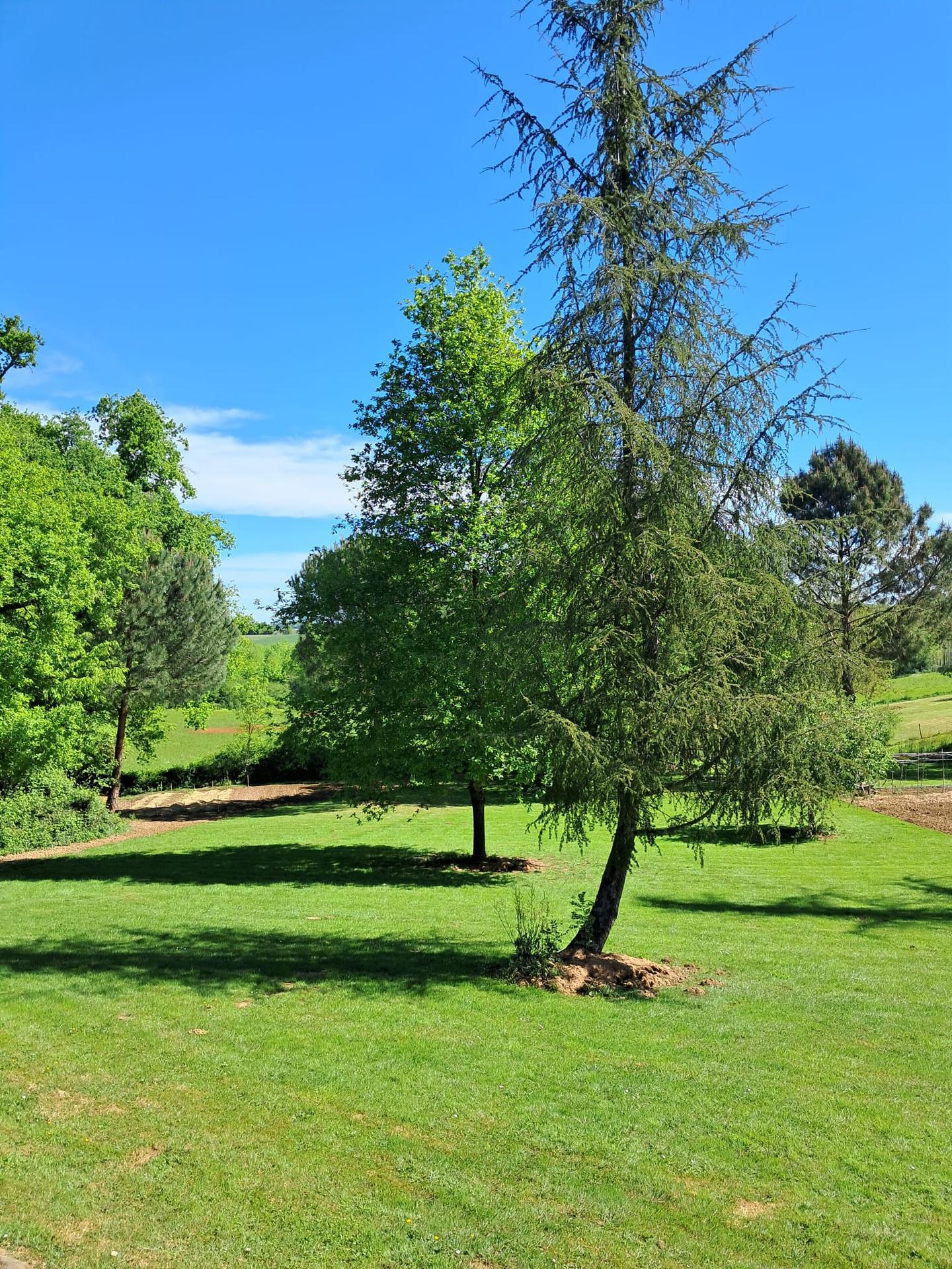 GreenGo location vacances écoresponsables