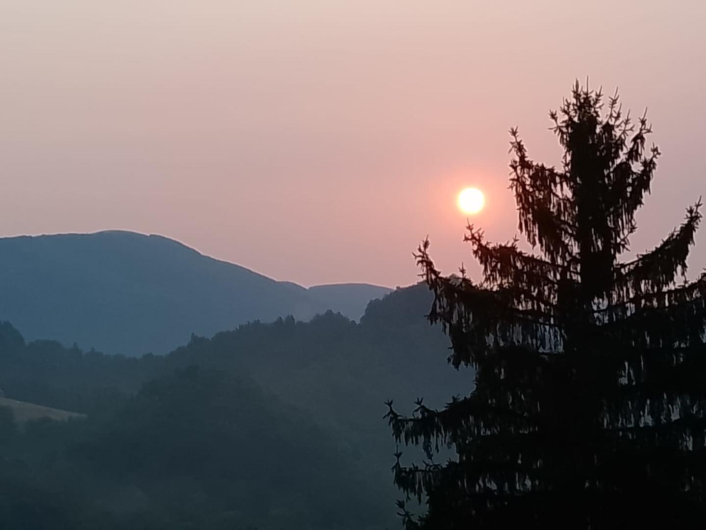 Carte cadeau GreenGo