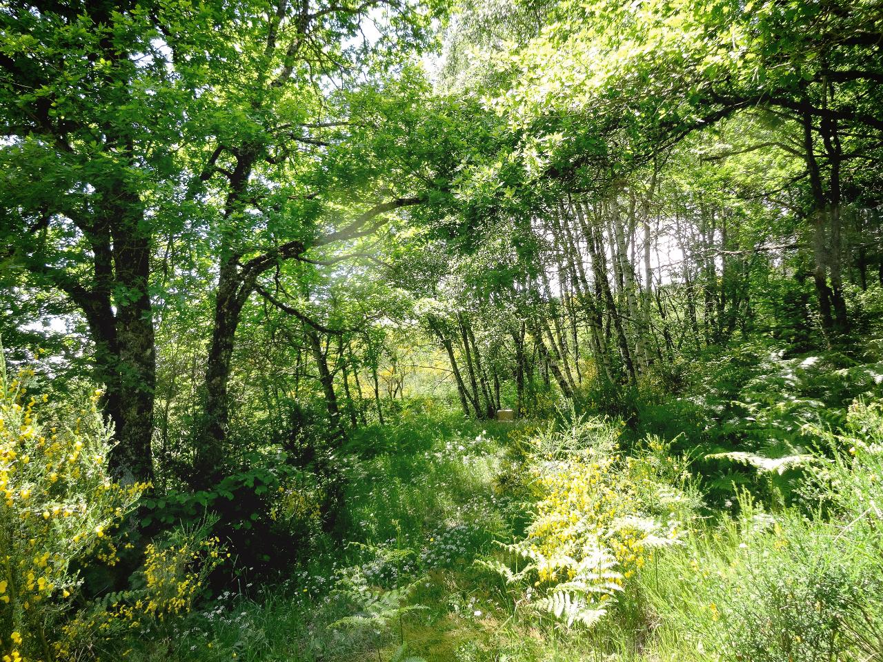 Hôte GreenGo: Les Jardins de l'Ermite - Image 10