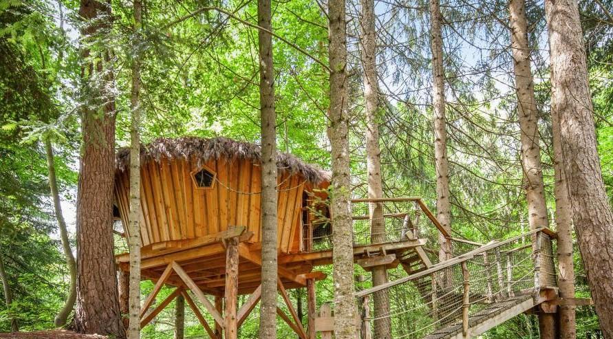 Séjour en cabane au cœur des bois