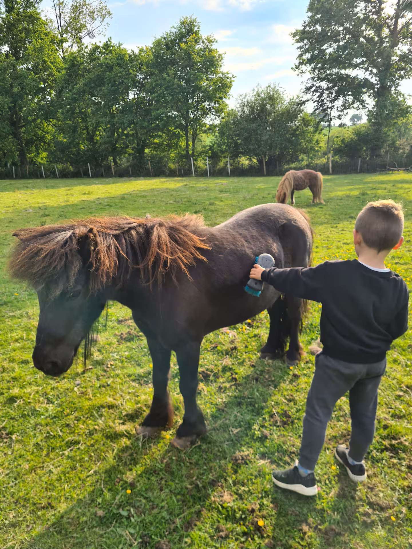 Séjour au cœur d’une ferme pédagogique avec animaux