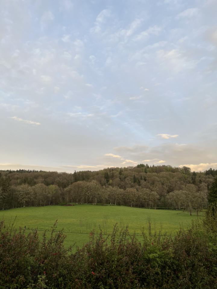Face au pré et forêt