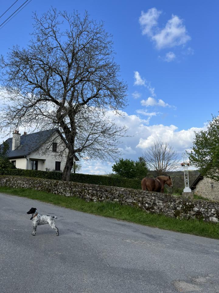 Dans un hameau au coeur d'une ferme