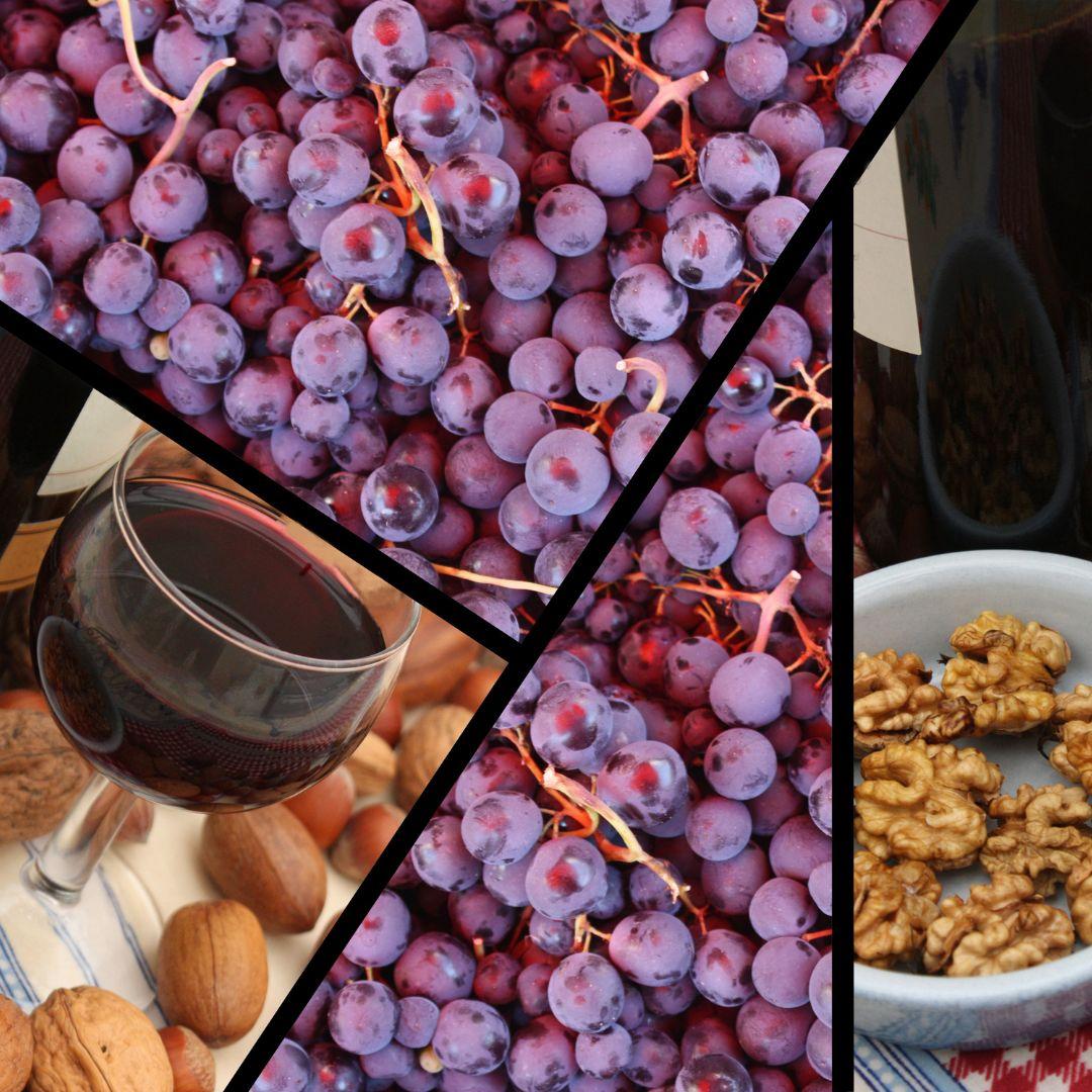 Initiation à la dégustation 🍷 : notre vin raconté par ses vignerons