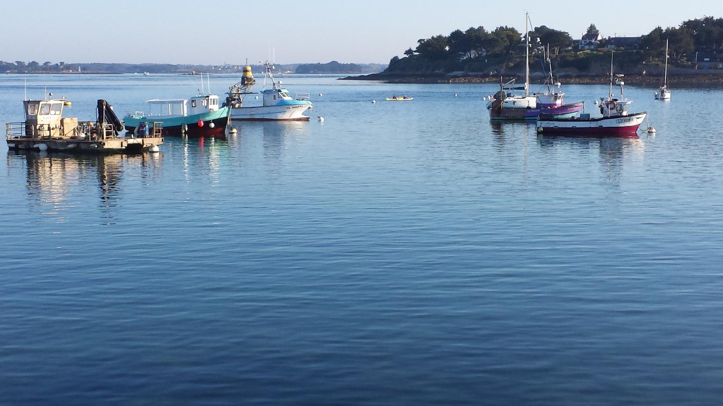 Maison d'hôtes au bord du Golfe du Morbihan