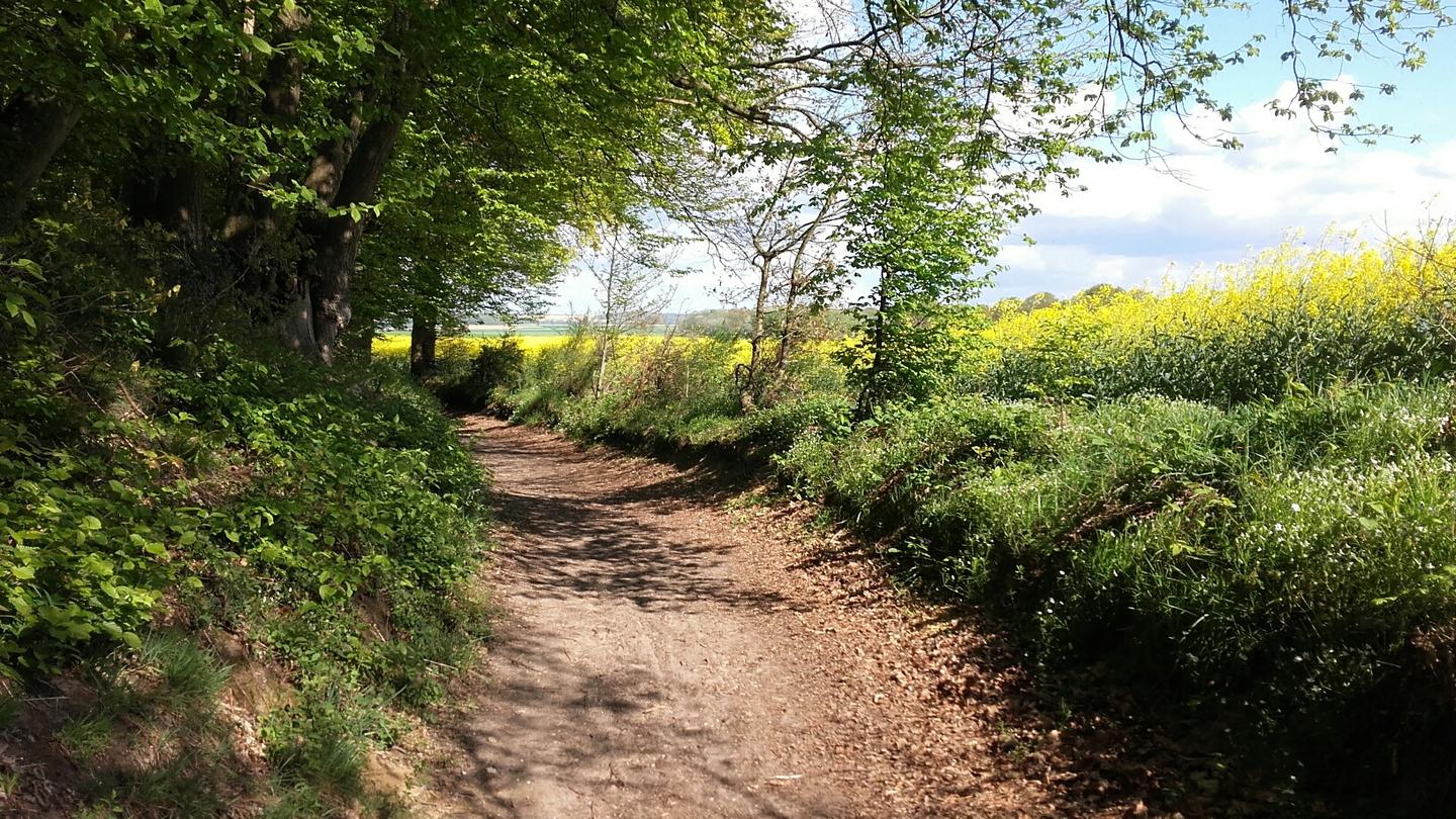 Randonnée au départ du Gîte