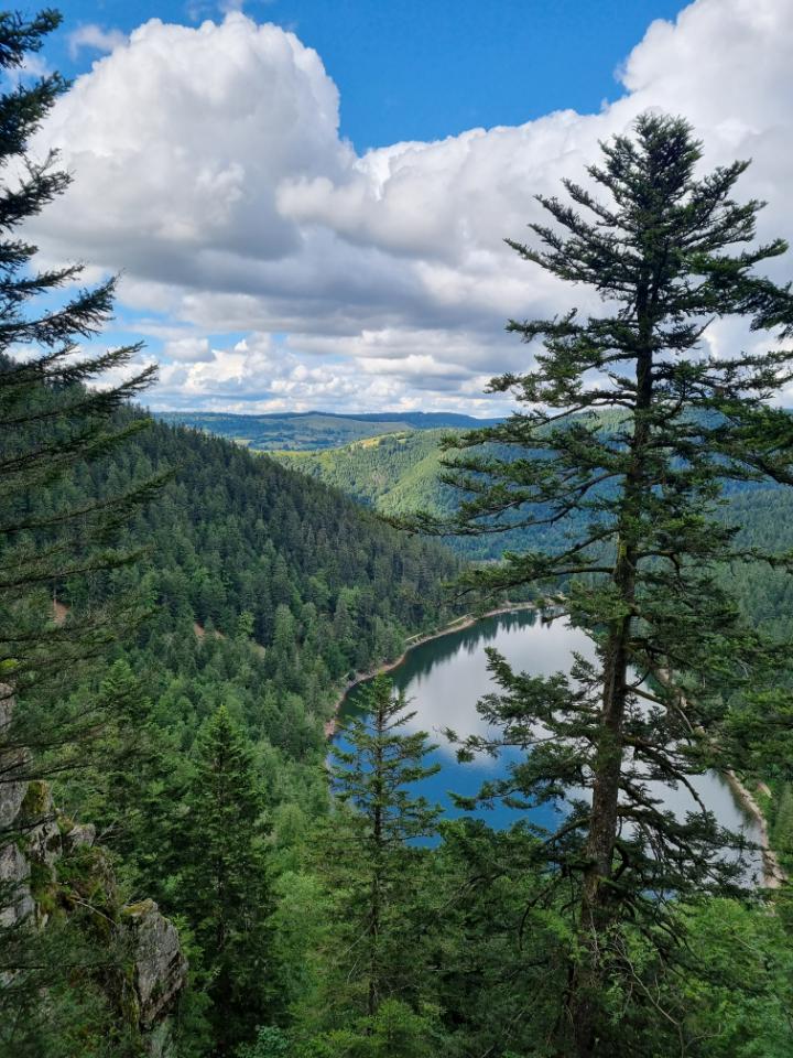 Randonnez dans nos belles montagnes des Hautes-Vosges, au départ des Charmalynes