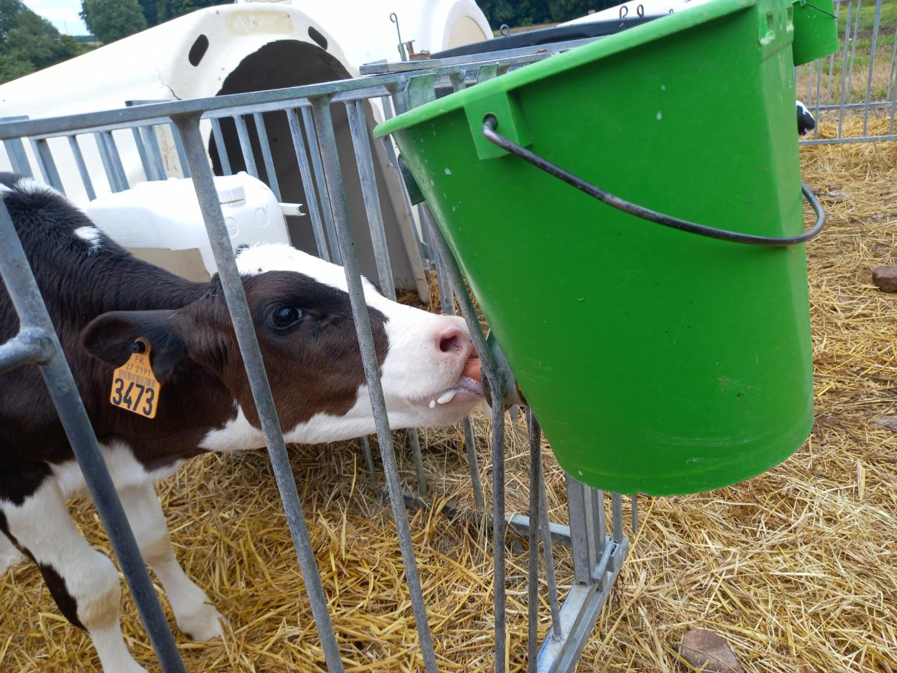 Journée en immersion à la ferme
