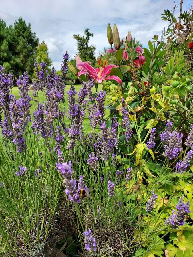 Jardin arboré et fleuri