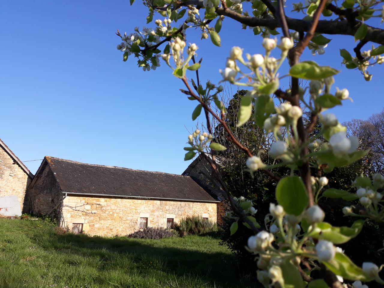 Savourez les fruits du jardin