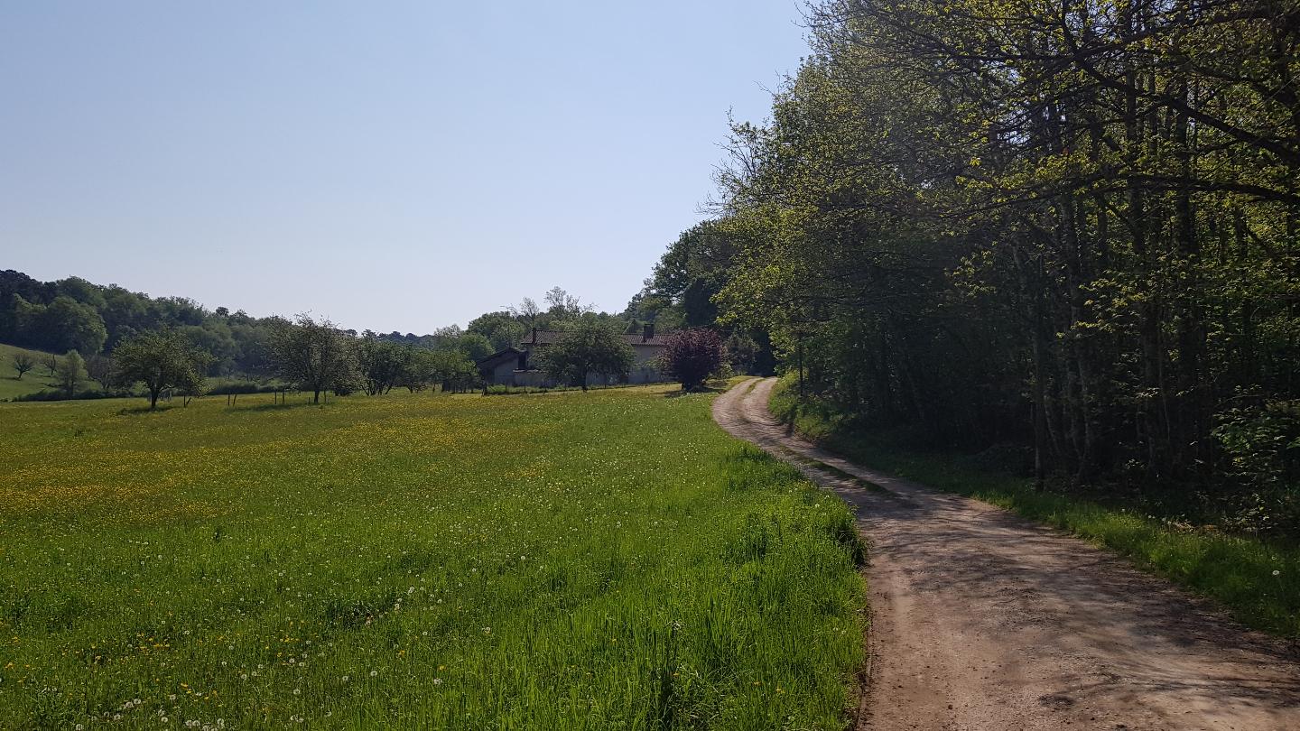 Au calme en pleine nature