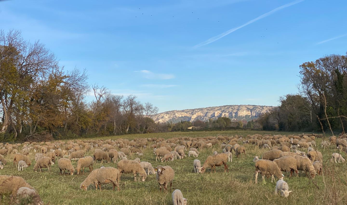 Au bout du monde à la campagne