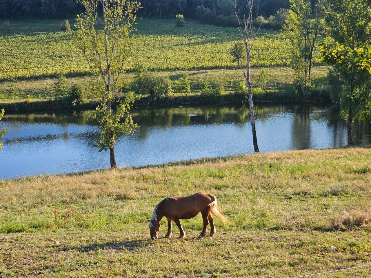 Pratique de l'équitation