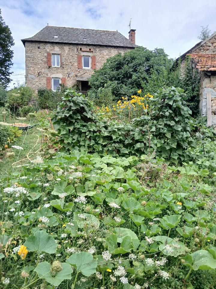 visite commentée de mon jardin potager en permaculture