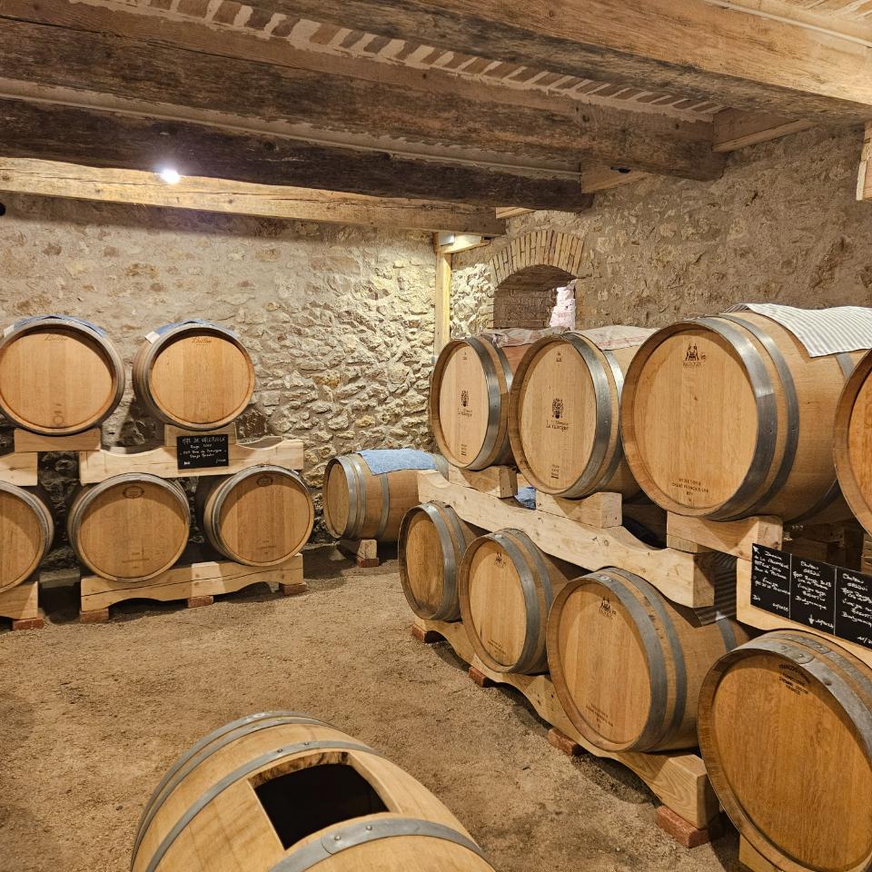 Visite de la vinaigrerie de Sausset (distance à pieds de la maison)