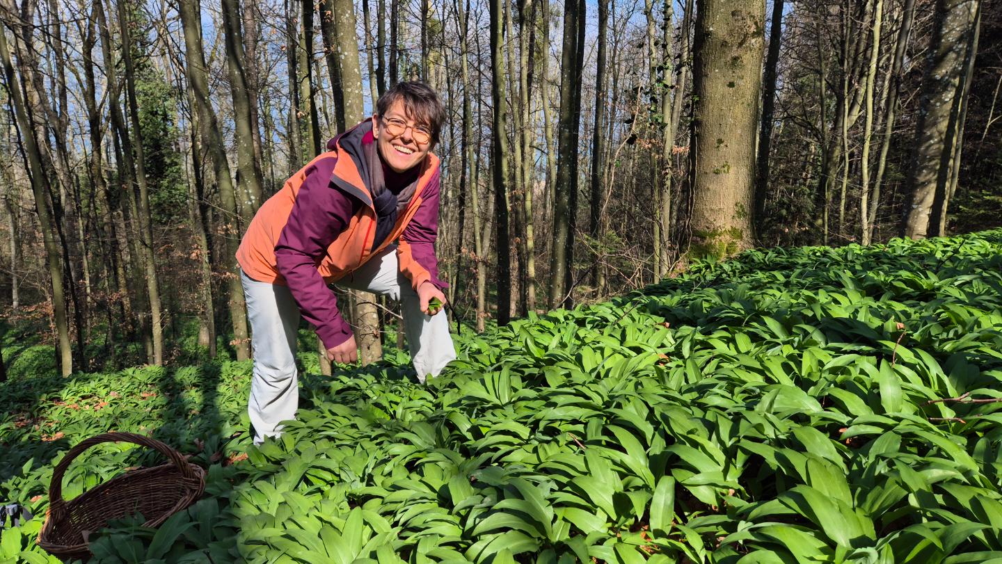 Au jardin ou au cours d'une sortie, allons à la rencontre des plantes sauvages comestibles