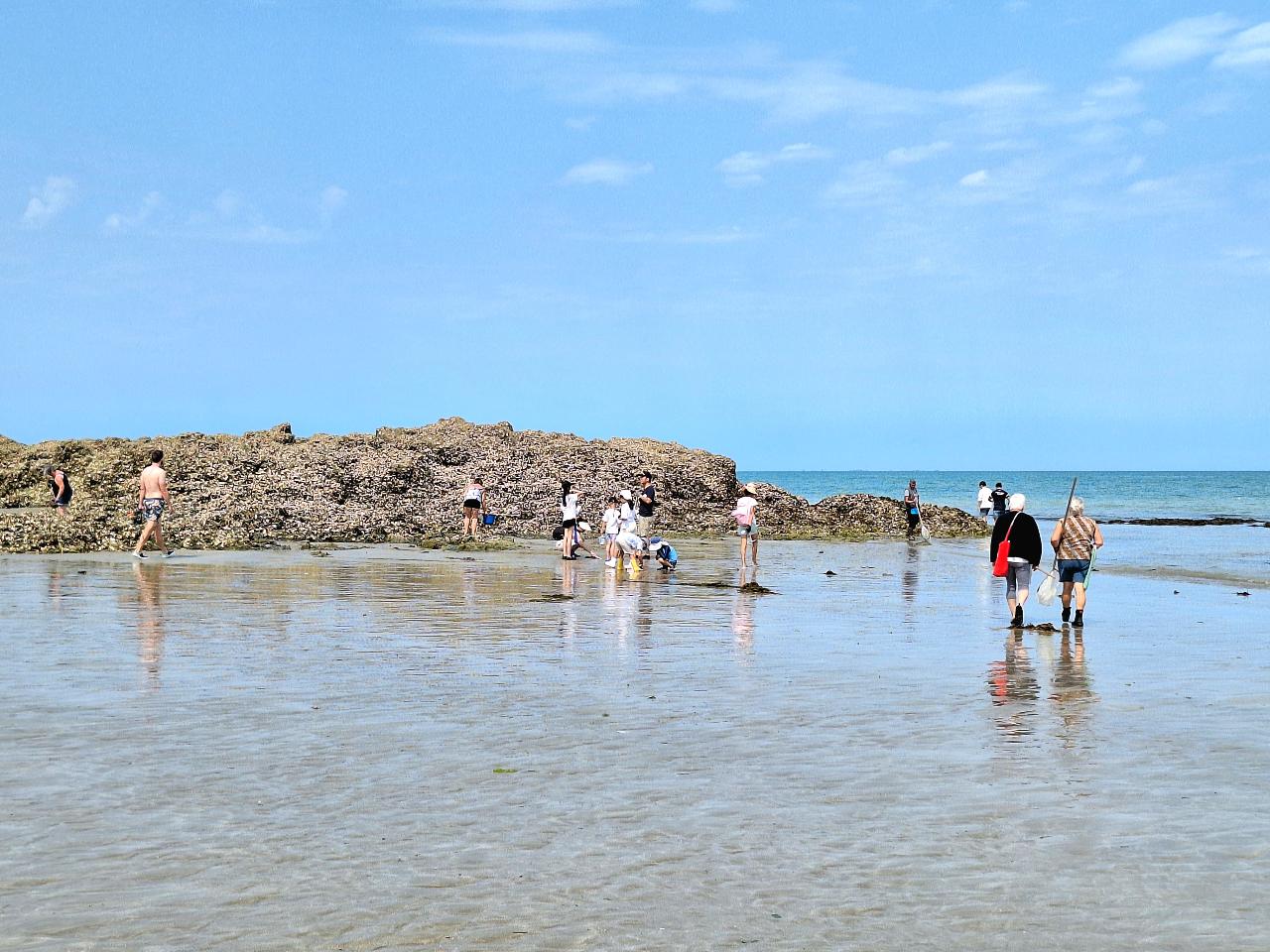 Pêche à pied à Martin Plage