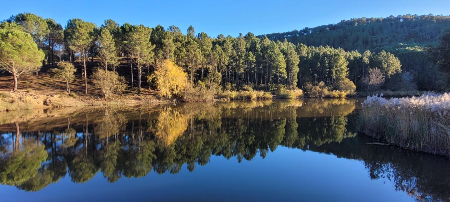 Randonnées sur place