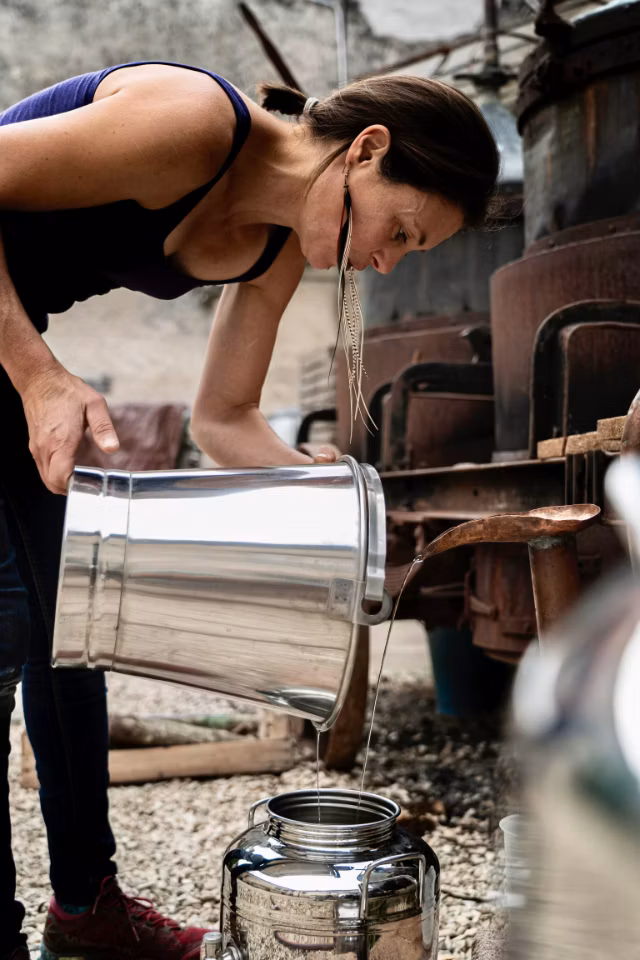 Visites et dégustations gratuites pour mes hôtes dans ma distillerie à Asquins