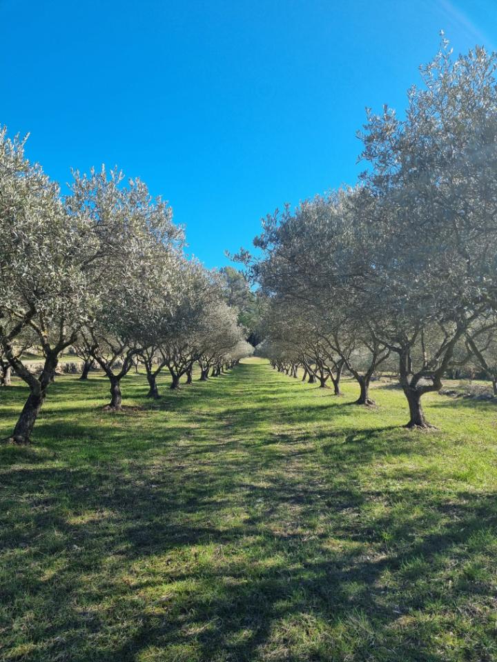 Au cœur de la nature, idéal pour se ressourcer