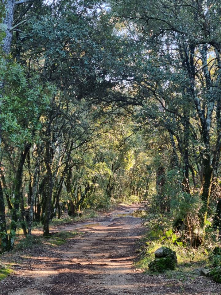 Les chemins de balades depuis le gîte