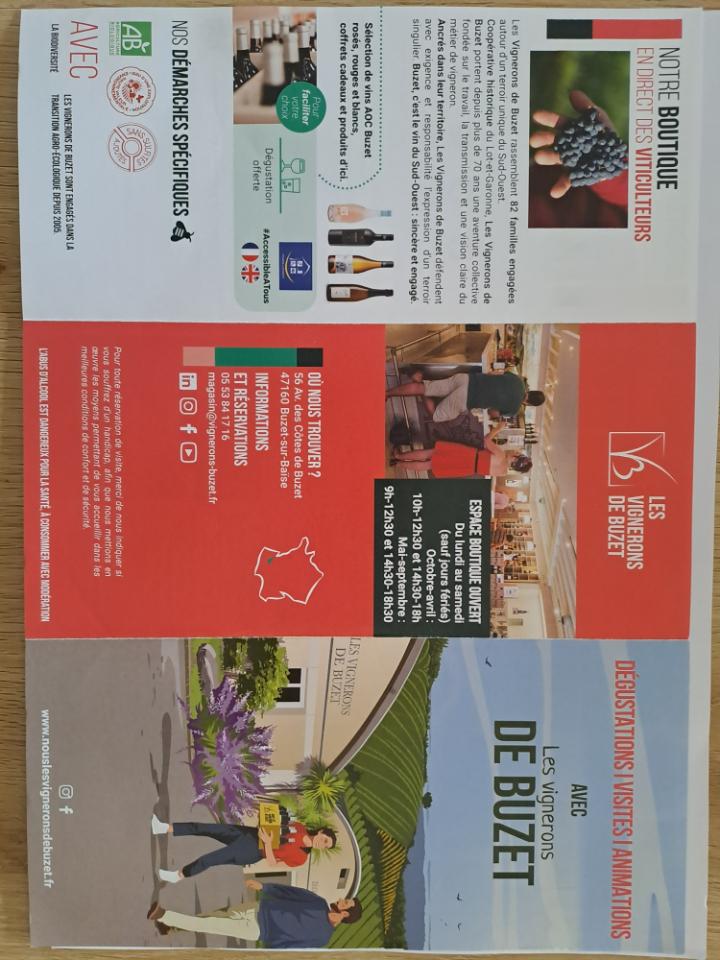 Dégustation et balade dans le vignoble